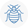 Bed Bug Extermination In Darwen